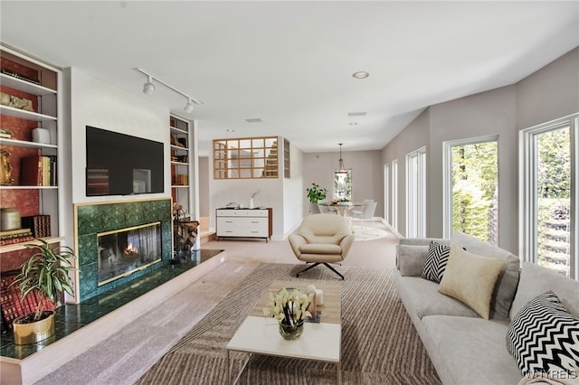 52 Hidden Pines Ct, Amherst, NY 14051 - living room with plenty of natural light, a high end fireplace, carpet, and built in features
