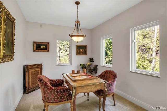 52 Hidden Pines Ct, Amherst, NY 14051 - dining room with baseboards and light carpet