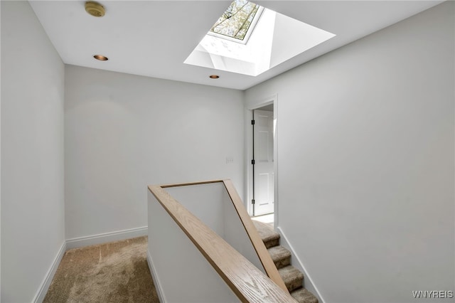 52 Hidden Pines Ct, Amherst, NY 14051 - stairway with a skylight, carpet, and baseboards