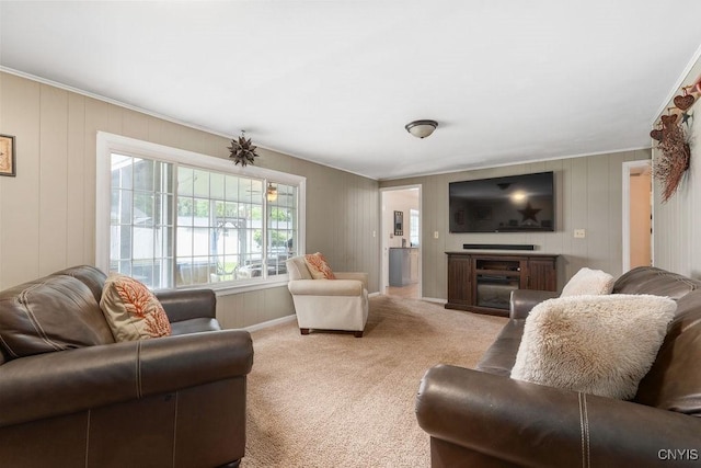 106 Hillside Way, Camillus, NY 13031 - living room with light colored carpet