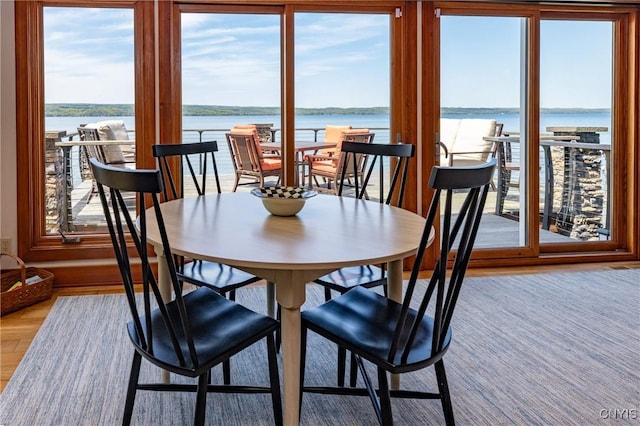 9182 S Rhodes Rd, Lodi, NY 14860 - dining room with a water view and light wood-type flooring
