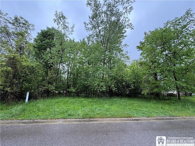 Summit Ave, Orchard Park, NY 14127