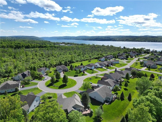 4166 Angela Way, Gorham, NY 14424 - aerial perspective of suburban area featuring a forest and a large body of water
