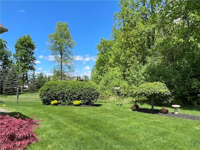 4166 Angela Way, Gorham, NY 14424 - view of green lawn