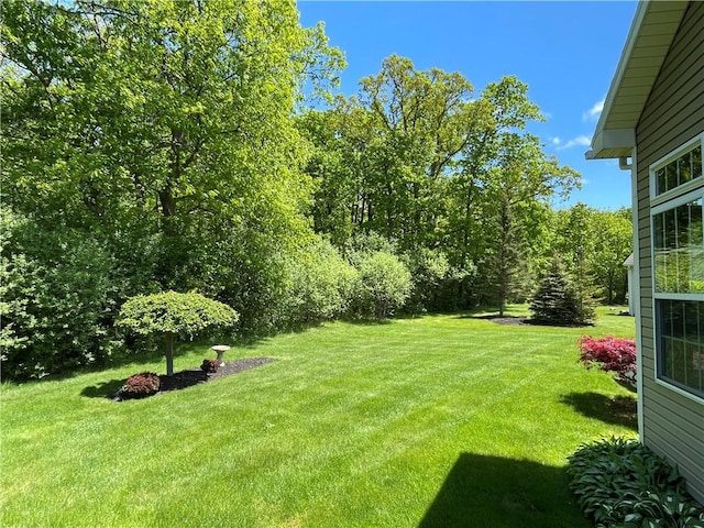 4166 Angela Way, Gorham, NY 14424 - view of green lawn