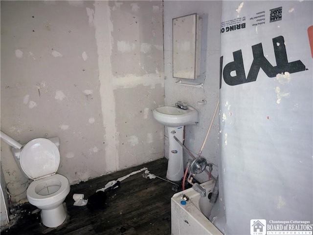 132 Kipp St, Sherman, NY 14781 - bathroom featuring toilet and a tub