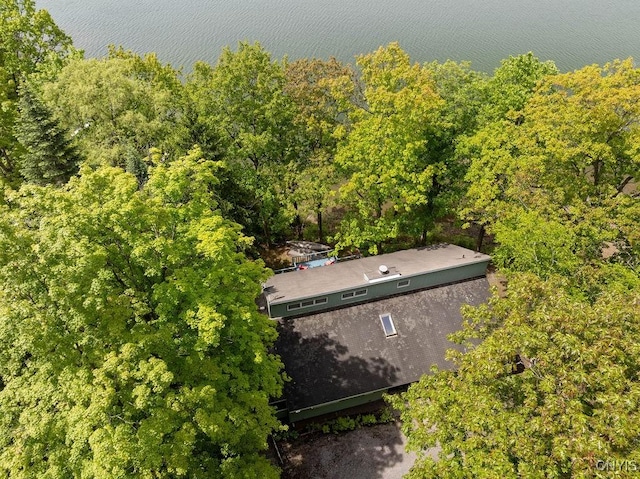388 Dolphin Point Ln E, Niles, NY 13118 - photo 40
