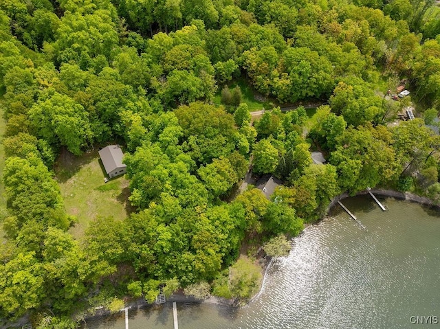388 Dolphin Point Ln E, Niles, NY 13118 - photo 43