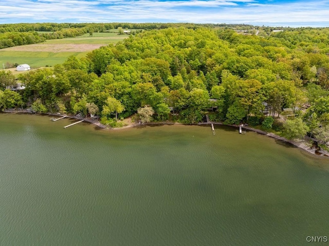 388 Dolphin Point Ln E, Niles, NY 13118 - photo 45