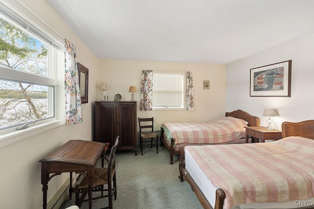 388 Dolphin Point Ln E, Niles, NY 13118 - photo 5
