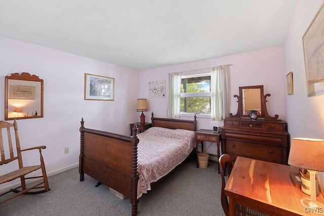 388 Dolphin Point Ln E, Niles, NY 13118 - photo 9