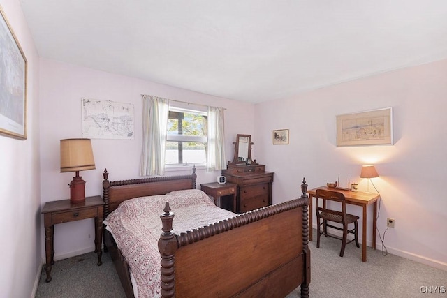 388 Dolphin Point Ln E, Niles, NY 13118 - photo 10