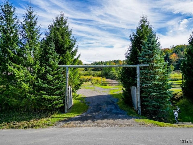 793 County Highway 19, Plainfield, NY 13491 - view of gate
