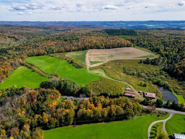 793 County Highway 19, Plainfield, NY 13491 - aerial view of a forest