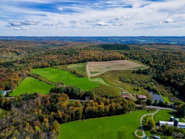 793 County Highway 19, Plainfield, NY 13491 - drone / aerial view of a forest