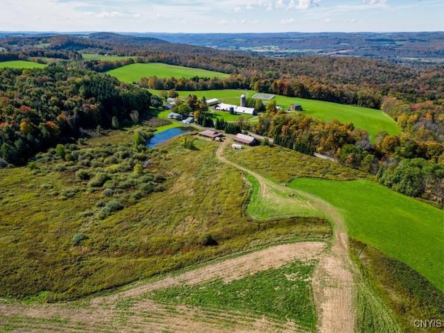793 County Highway 19, Plainfield, NY 13491 - drone / aerial view