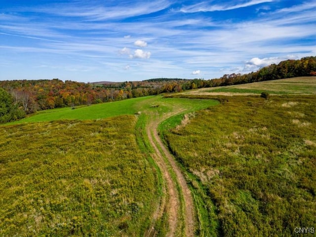 793 County Highway 19, Plainfield, NY 13491 - view of rural area