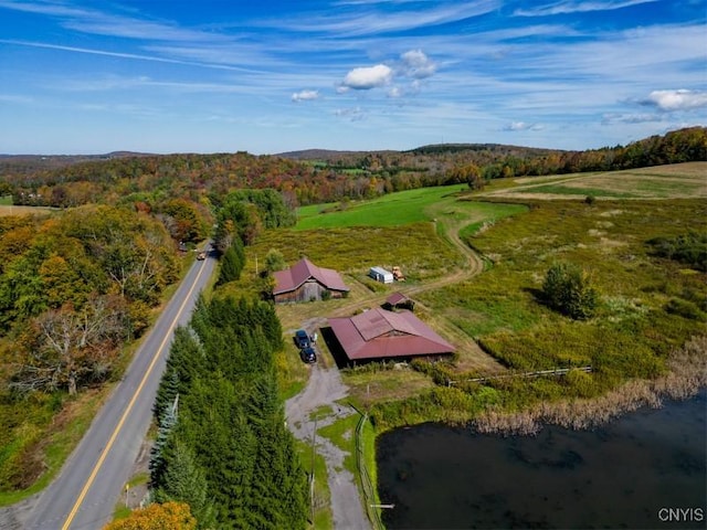 793 County Highway 19, Plainfield, NY 13491 - aerial view of property and surrounding area with a forest