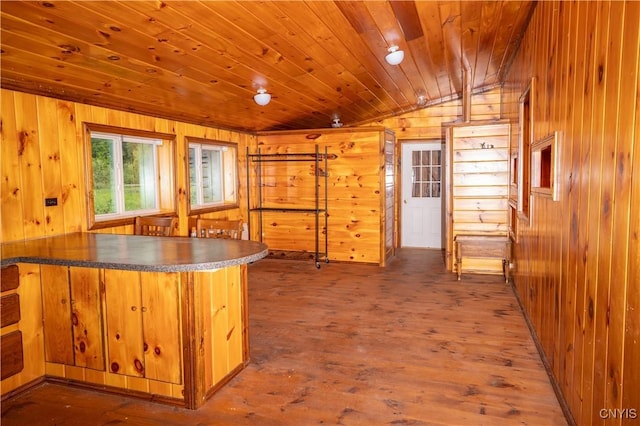 793 County Highway 19, Plainfield, NY 13491 - kitchen featuring wood walls, wooden ceiling, vaulted ceiling, wood finished floors, and a peninsula