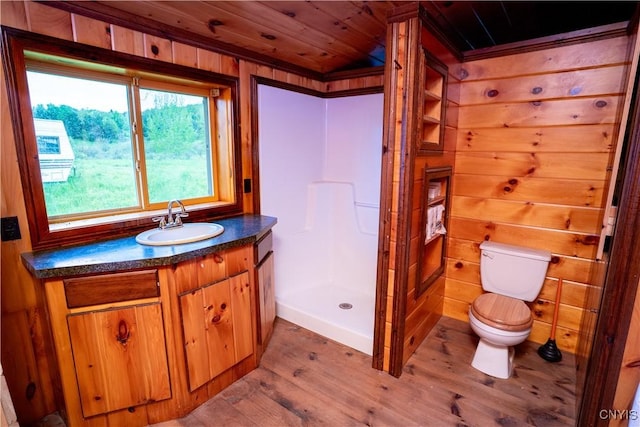 793 County Highway 19, Plainfield, NY 13491 - full bathroom with wood finished floors, toilet, a shower stall, wooden ceiling, and vanity