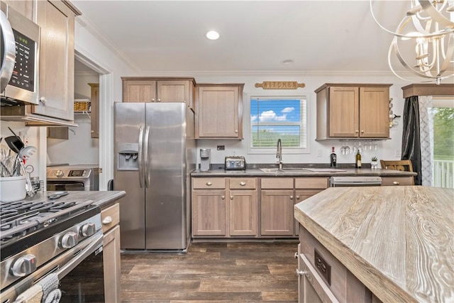 3854 Tari Ln, Murray, NY 14470 - kitchen featuring stainless steel appliances, a sink, dark wood-style flooring, healthy amount of natural light, and ornamental molding