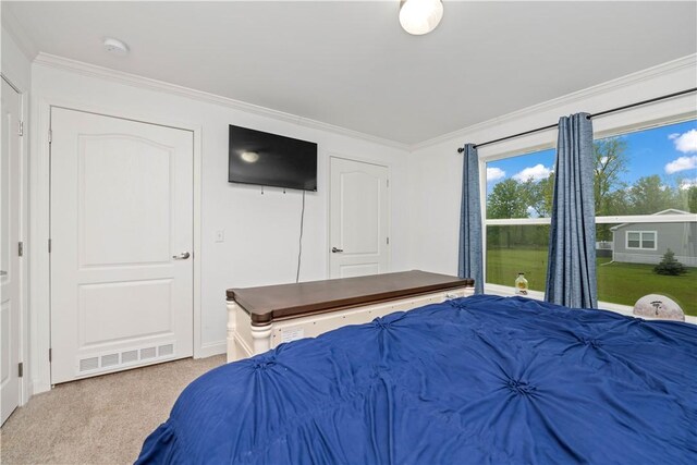 3854 Tari Ln, Murray, NY 14470 - bedroom with crown molding and carpet flooring