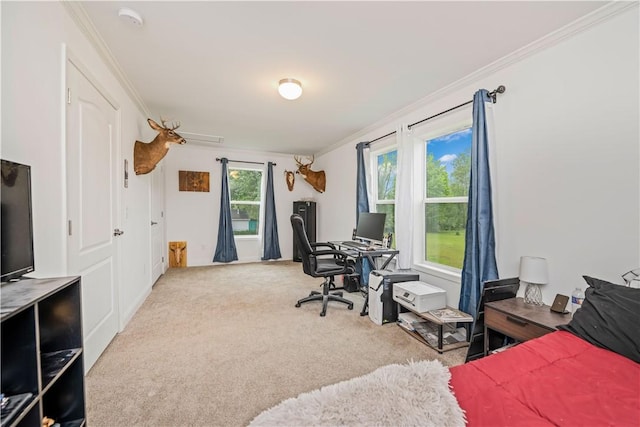 3854 Tari Ln, Murray, NY 14470 - bedroom featuring carpet floors, ornamental molding, and an office area