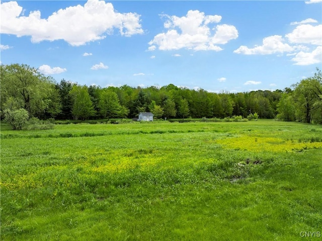 9748-9736 Podunk Rd, Lee, NY 13363 - view of wooded area with a view of countryside