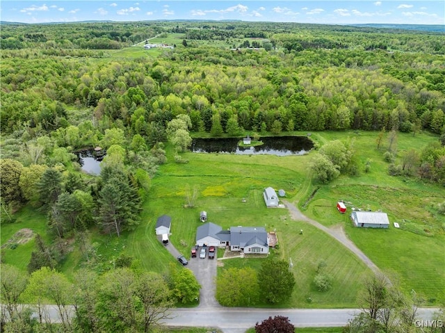 9748-9736 Podunk Rd, Lee, NY 13363 - aerial overview of property's location featuring a forest and a nearby body of water