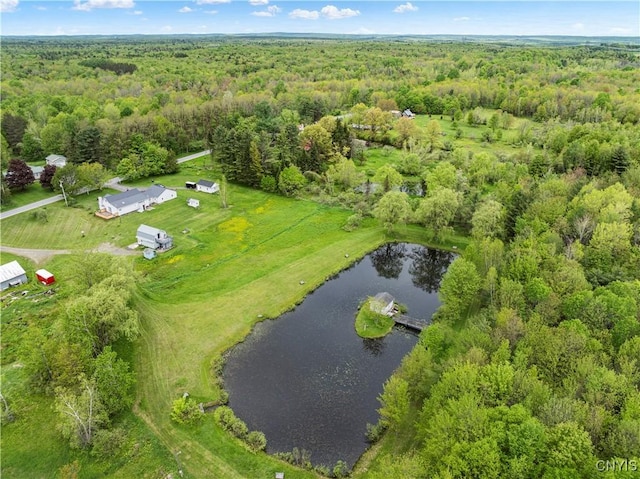 9748-9736 Podunk Rd, Lee, NY 13363 - bird's eye view of a forest and a nearby body of water
