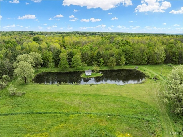 9748-9736 Podunk Rd, Lee, NY 13363 - bird's eye view of a nearby body of water and a heavily wooded area