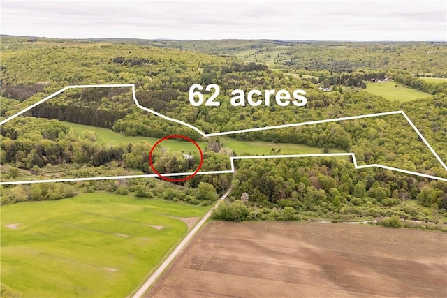 161 Bell Hill Rd, New Lisbon, NY 13342 - aerial overview of property's location featuring a forest and property boundaries highlighted