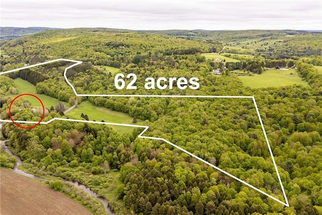 161 Bell Hill Rd, New Lisbon, NY 13342 - aerial overview of property's location with a heavily wooded area and property parcel outlined