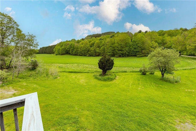 161 Bell Hill Rd, New Lisbon, NY 13342 - view of grassy yard with a forest view