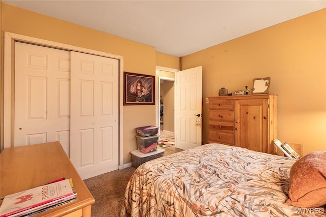 454 Kenwood Dr, Lewiston, NY 14092 - carpeted bedroom featuring a closet