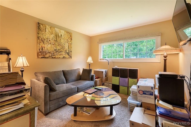 454 Kenwood Dr, Lewiston, NY 14092 - living room featuring healthy amount of natural light and carpet floors
