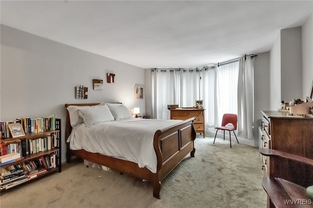 849 Delaware Ave Unit 204, Buffalo, NY 14209 - bedroom with light colored carpet