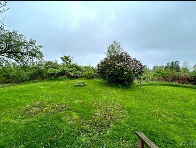 38857 State Route 12e, Clayton, NY 13624 - view of green lawn