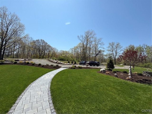 26633 Kring Point Rd, Alexandria, NY 13679 - view of grassy yard