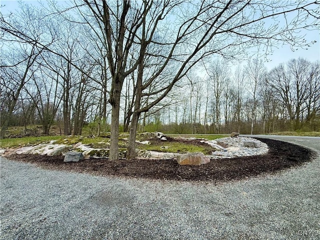 26633 Kring Point Rd, Alexandria, NY 13679 - view of yard