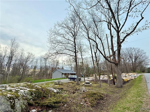 26633 Kring Point Rd, Alexandria, NY 13679 - view of yard
