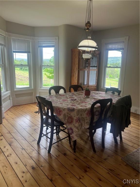 6265 Haslauer Rd, Stockbridge, NY 13409 - dining room with light wood-style flooring