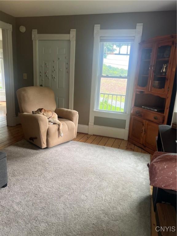 6265 Haslauer Rd, Stockbridge, NY 13409 - sitting room with baseboards, light wood finished floors, and light colored carpet