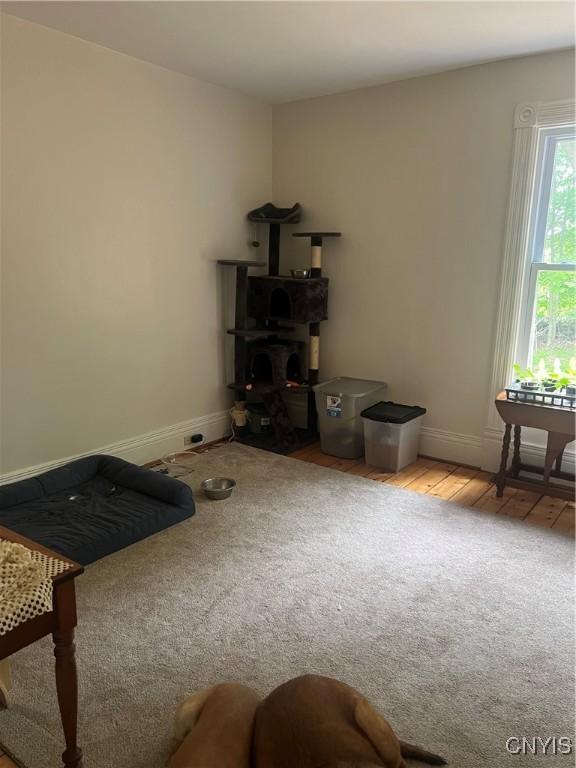 6265 Haslauer Rd, Stockbridge, NY 13409 - sitting room featuring baseboards, carpet floors, and wood finished floors
