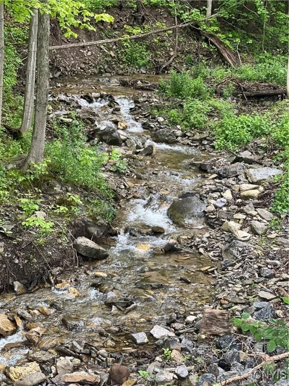 6265 Haslauer Rd, Stockbridge, NY 13409 - view of undeveloped land