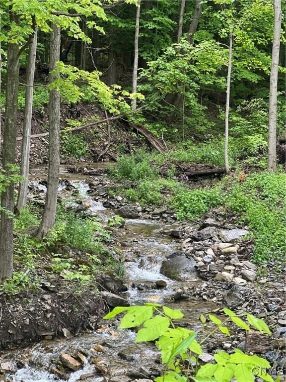 6265 Haslauer Rd, Stockbridge, NY 13409 - view of local wilderness