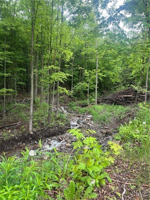 6265 Haslauer Rd, Stockbridge, NY 13409 - view of tree filled area