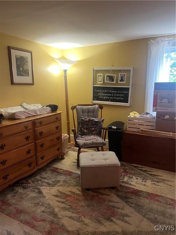 6265 Haslauer Rd, Stockbridge, NY 13409 - view of living area