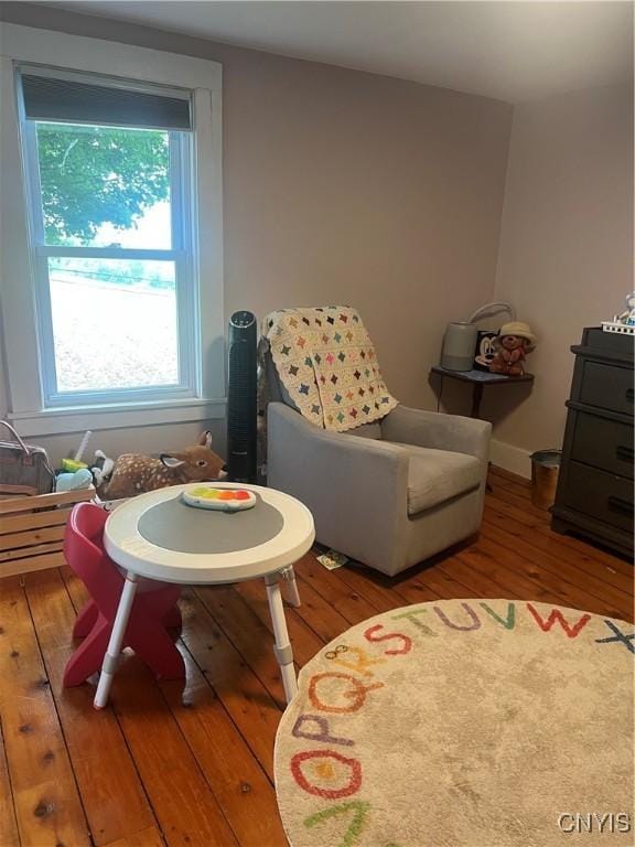 6265 Haslauer Rd, Stockbridge, NY 13409 - playroom featuring wood finished floors