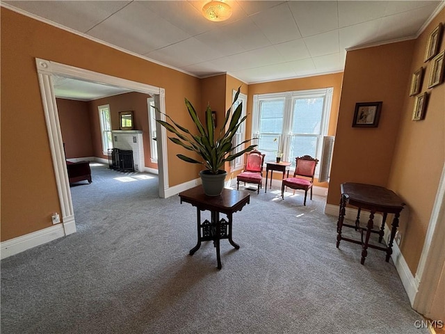 109 State St, Seneca Falls, NY 13148 - sitting room featuring ornamental molding, carpet, plenty of natural light, and baseboards